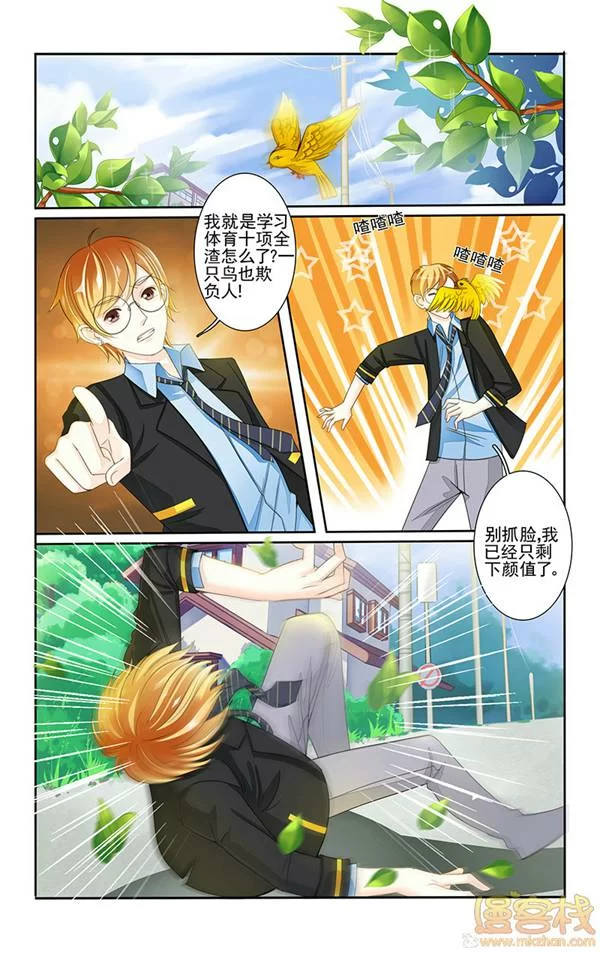 第3页