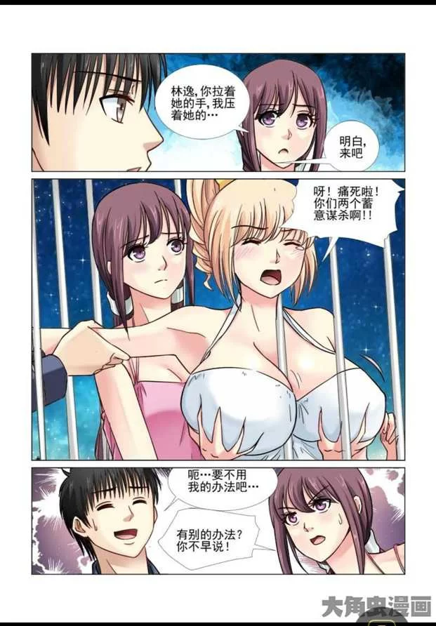第3页