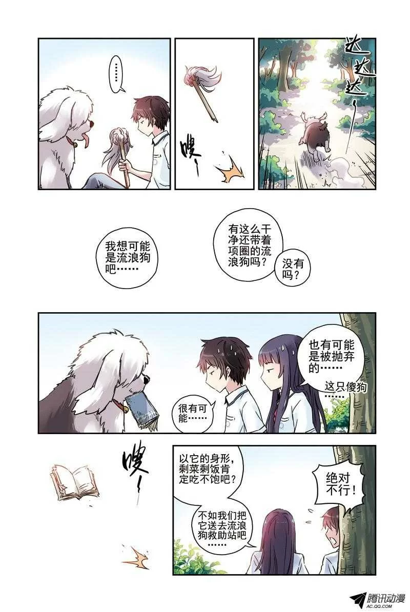 第5页