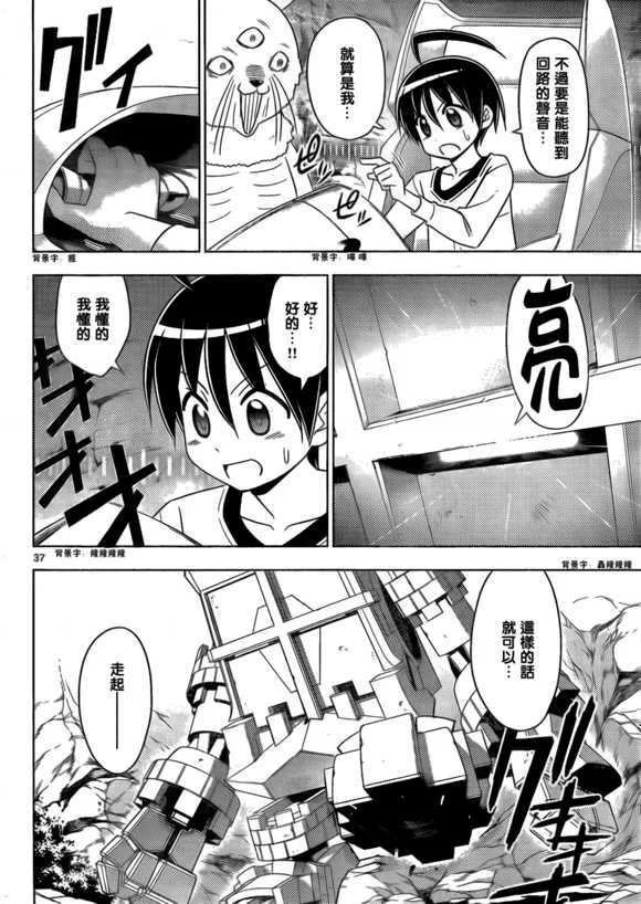 第37页