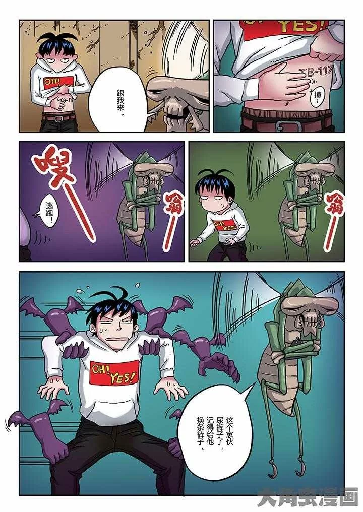 第5页