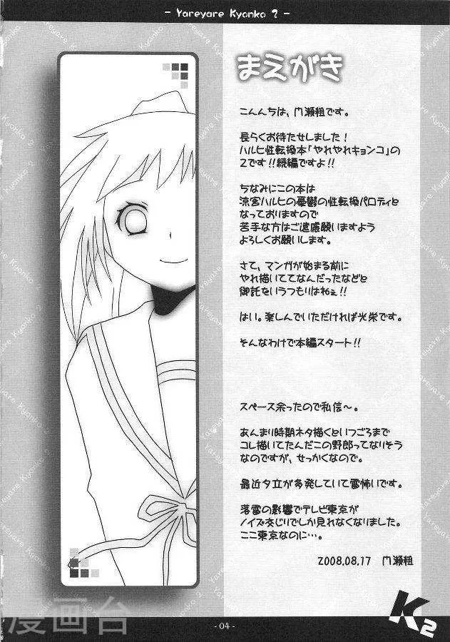 第3页