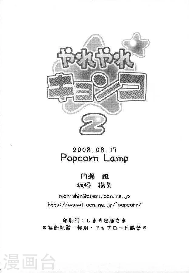 第29页