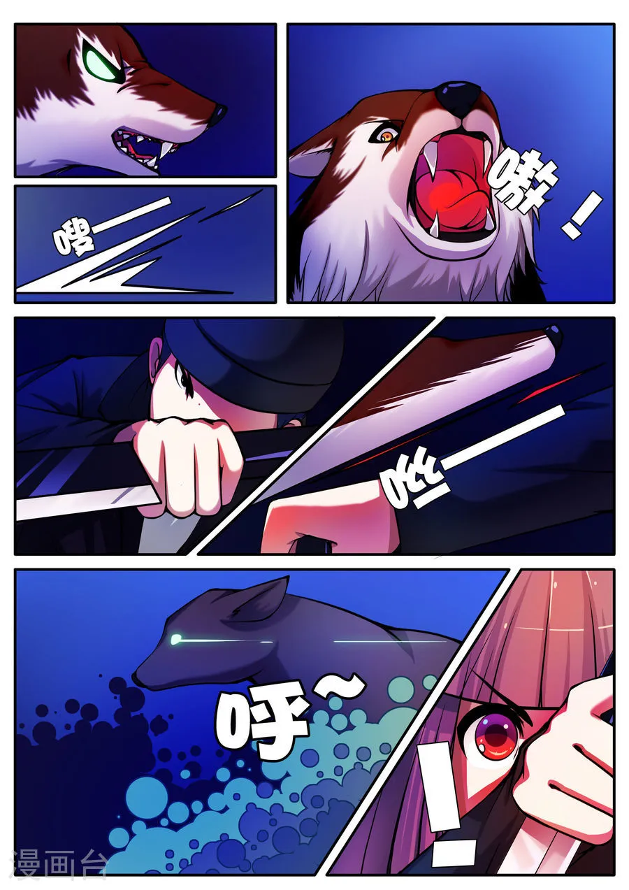第5页