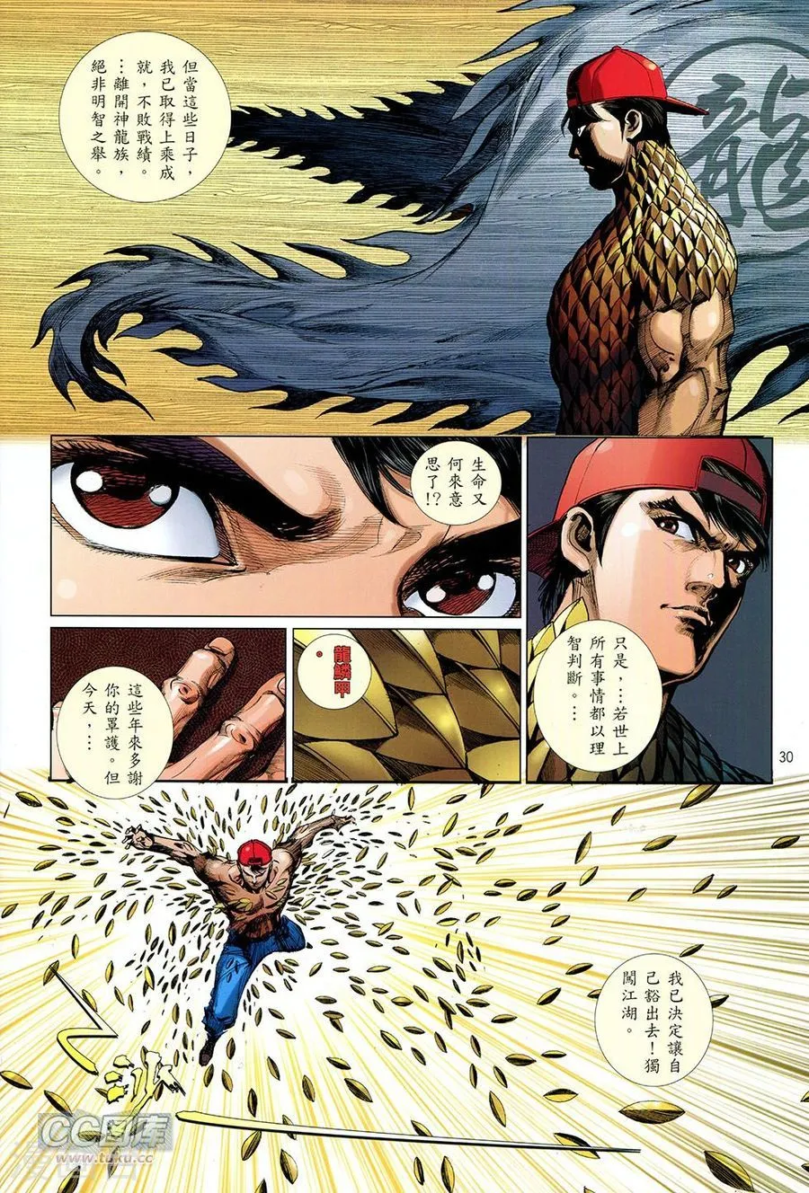 第30页