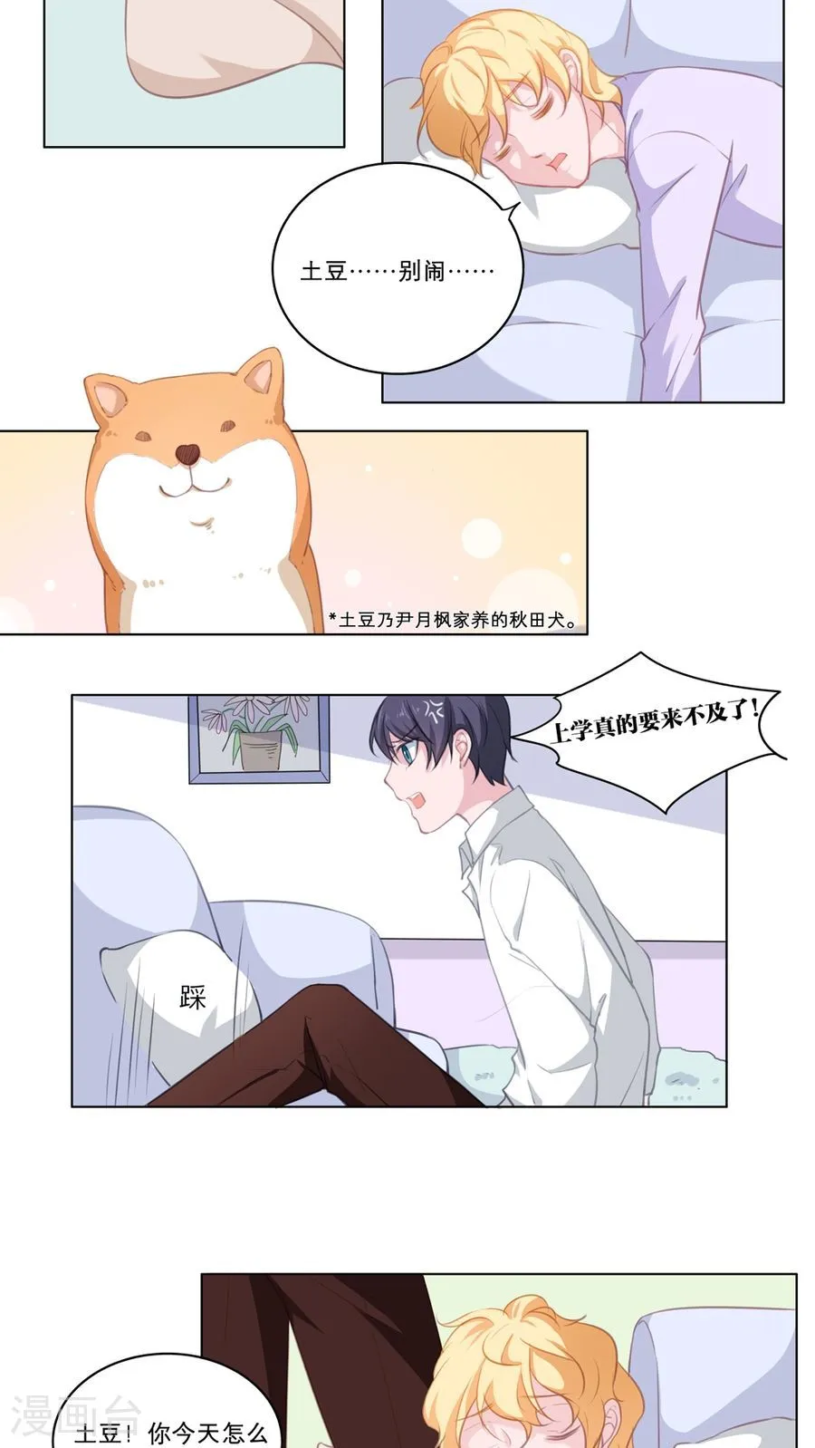 第17页