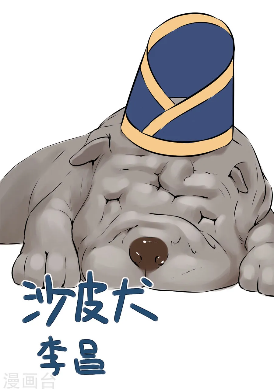 第41页