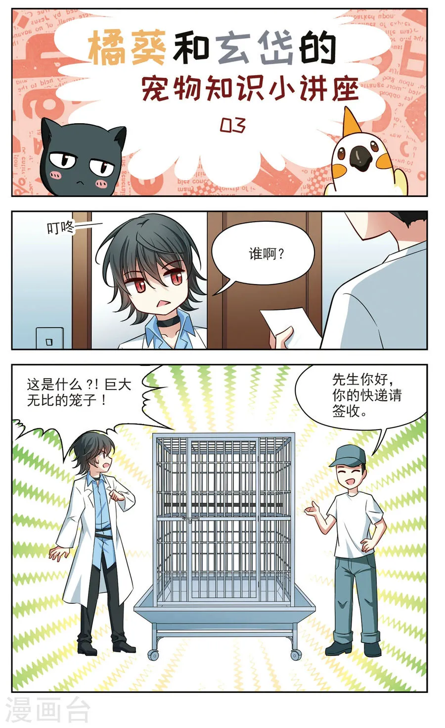 第11页