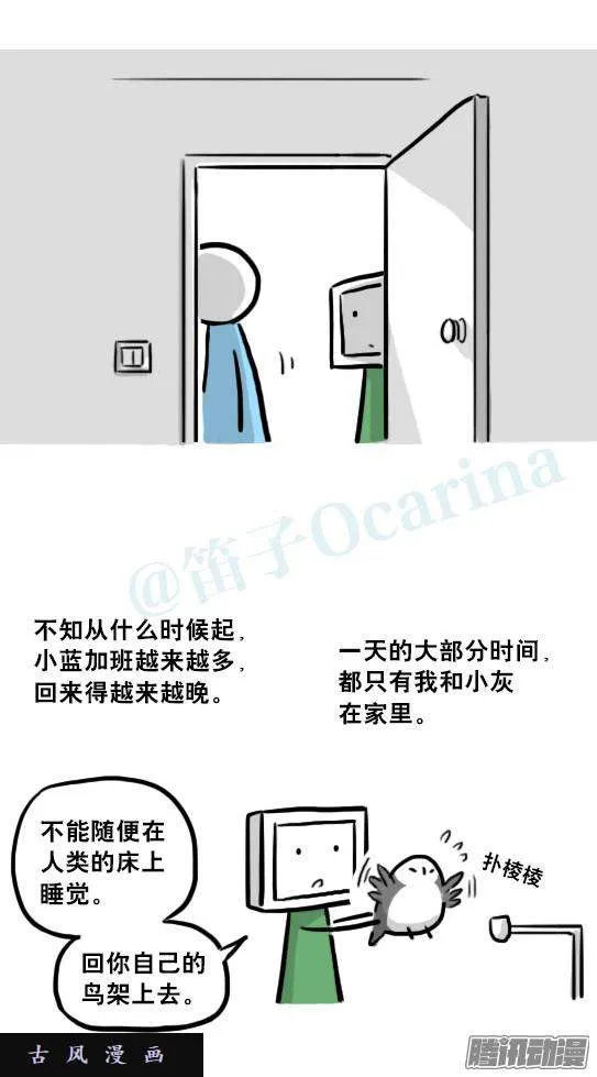 第80页