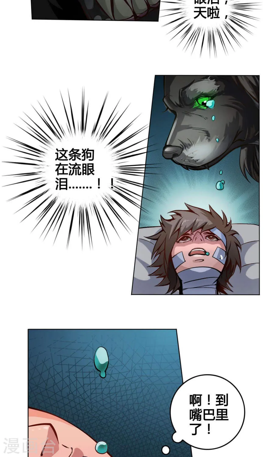 第31页