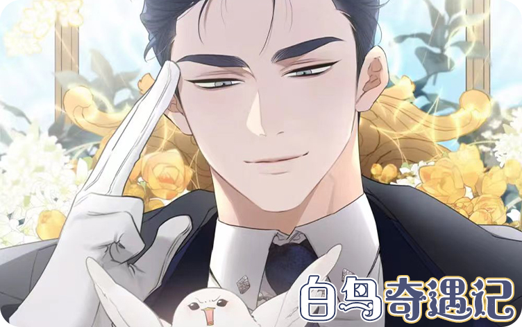 白鸟奇遇记 - bnqyj