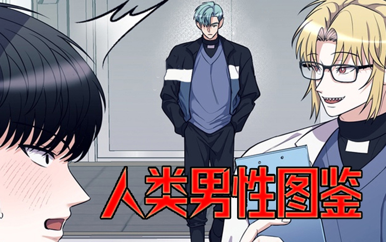 人类男性图鉴