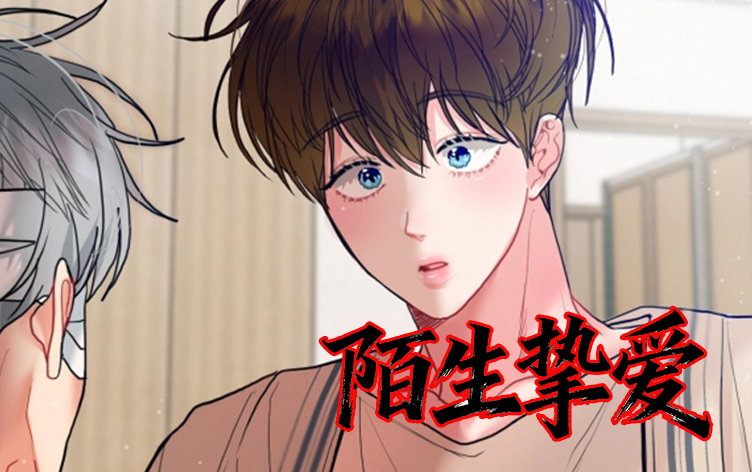 陌生挚爱