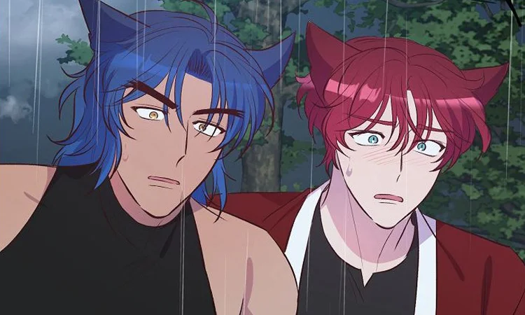 狼君与狐嫁
