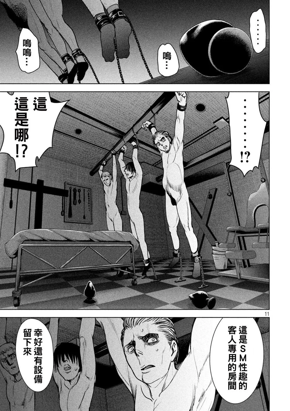 第11页