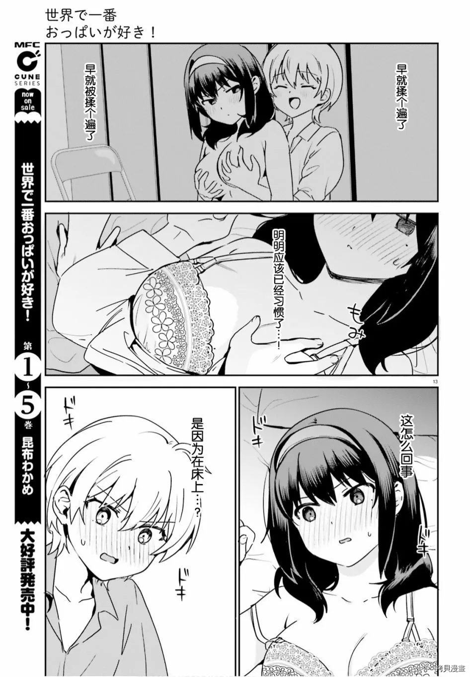 第13页