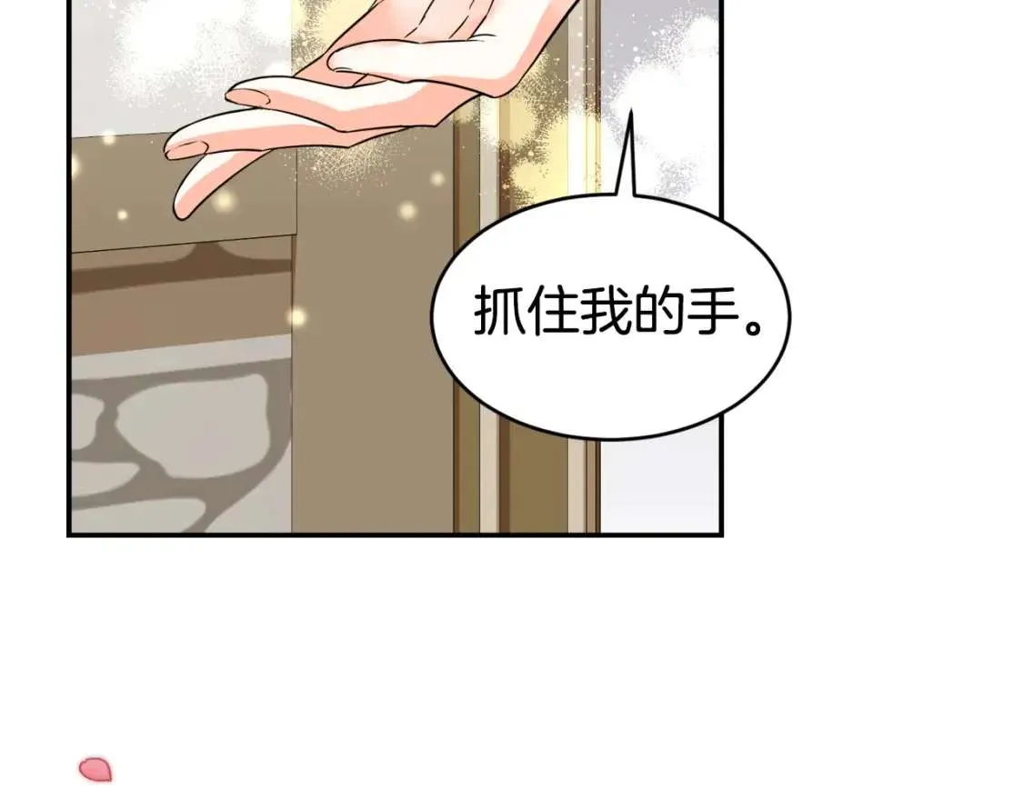第207页