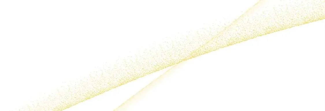 第234页