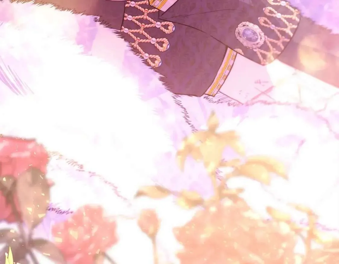 第251页