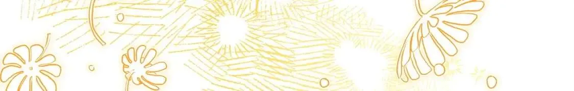 第325页