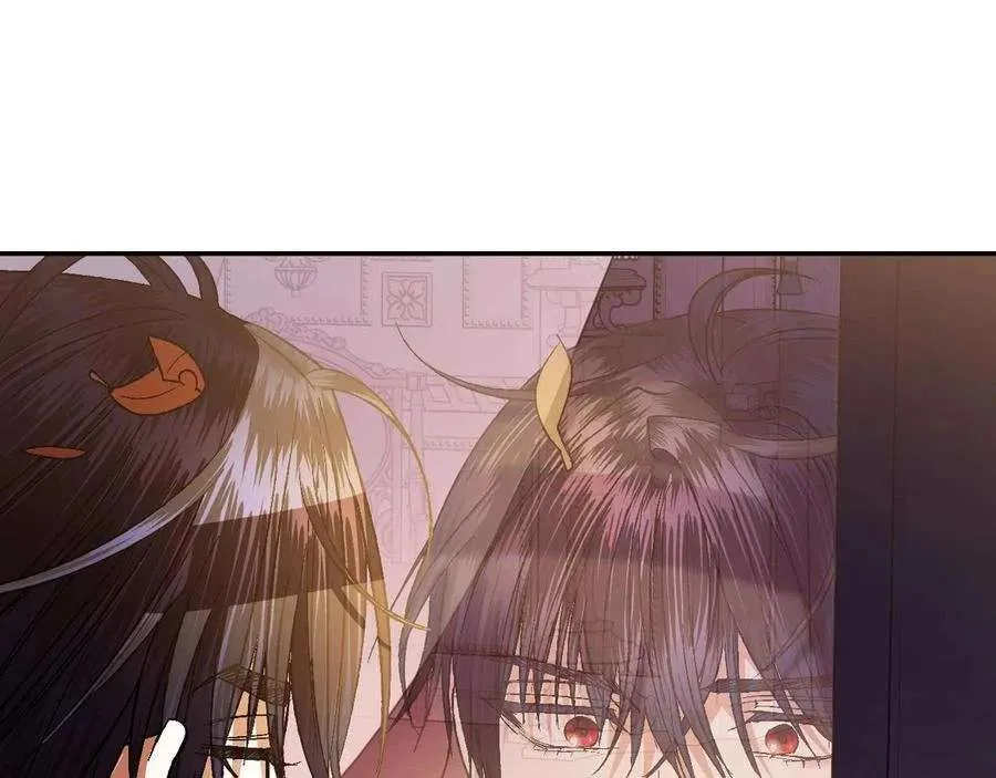 第203页