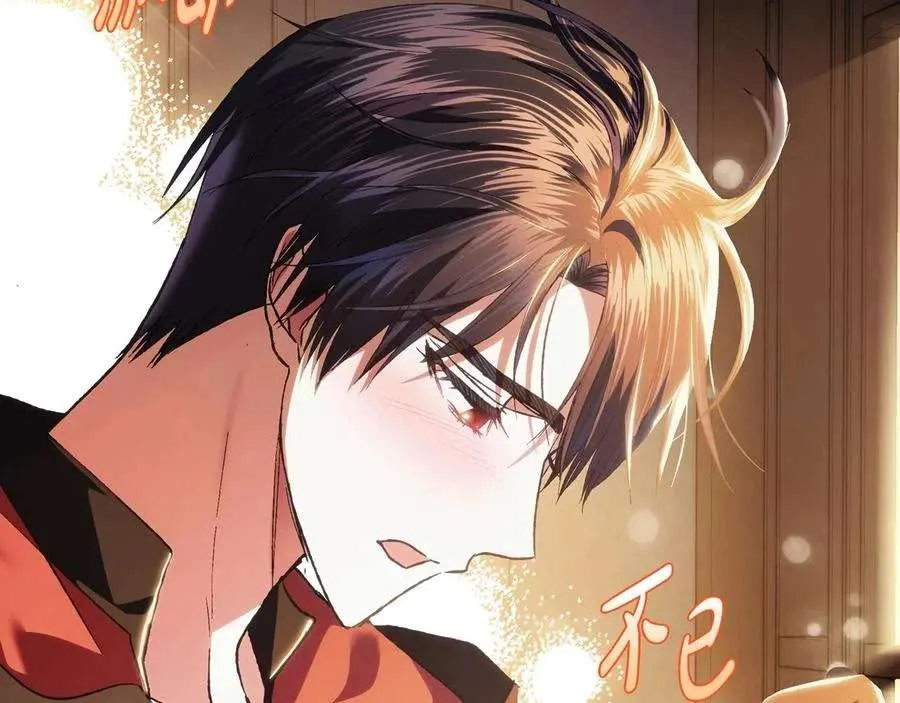第213页