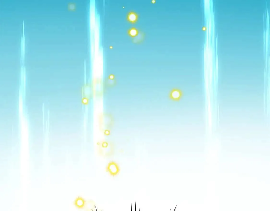 第217页