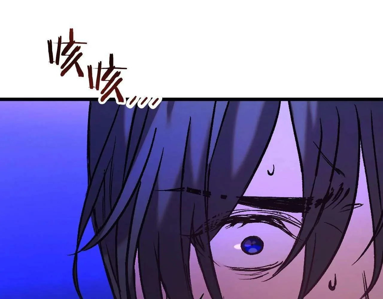 第339页