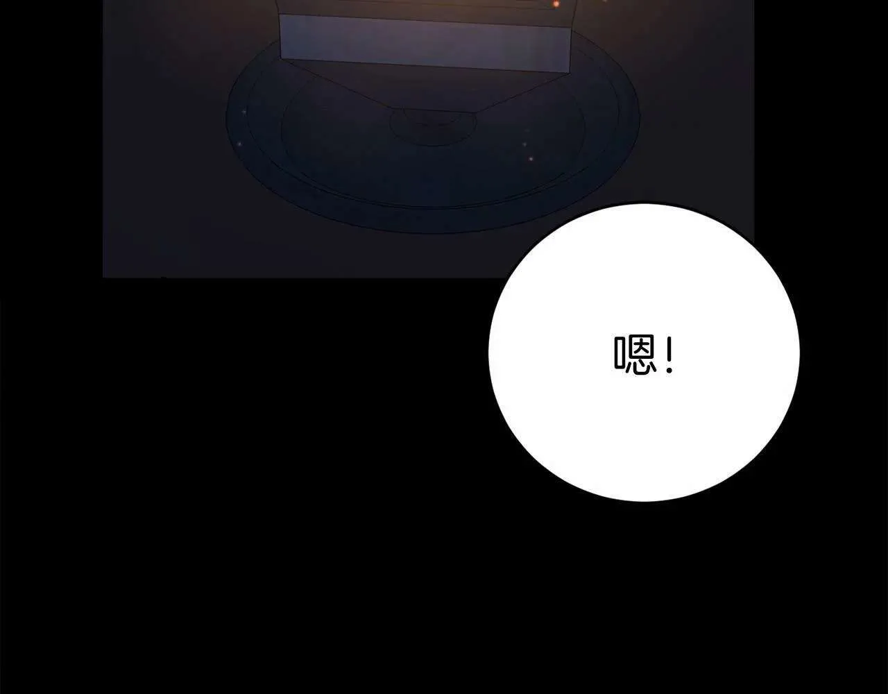 第215页