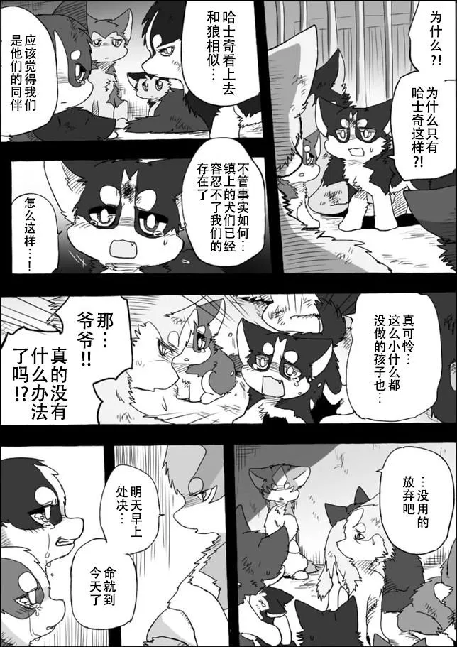 第40页