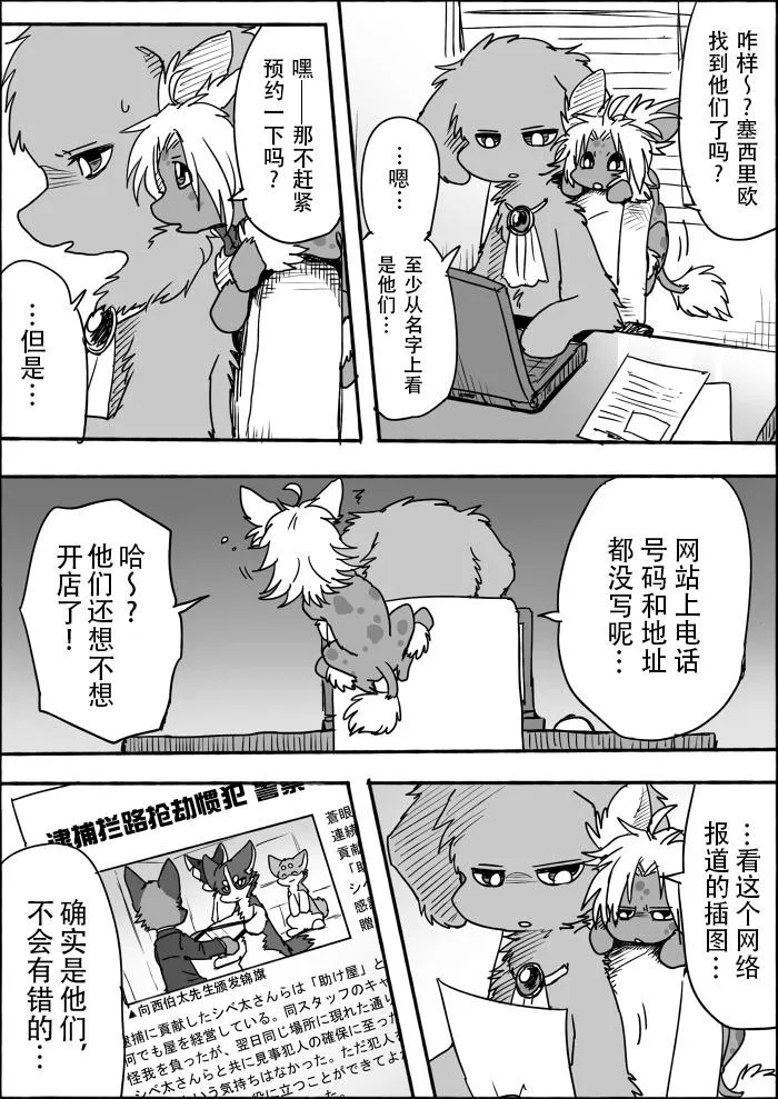 第3页