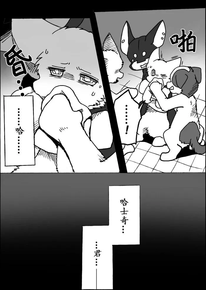 第16页
