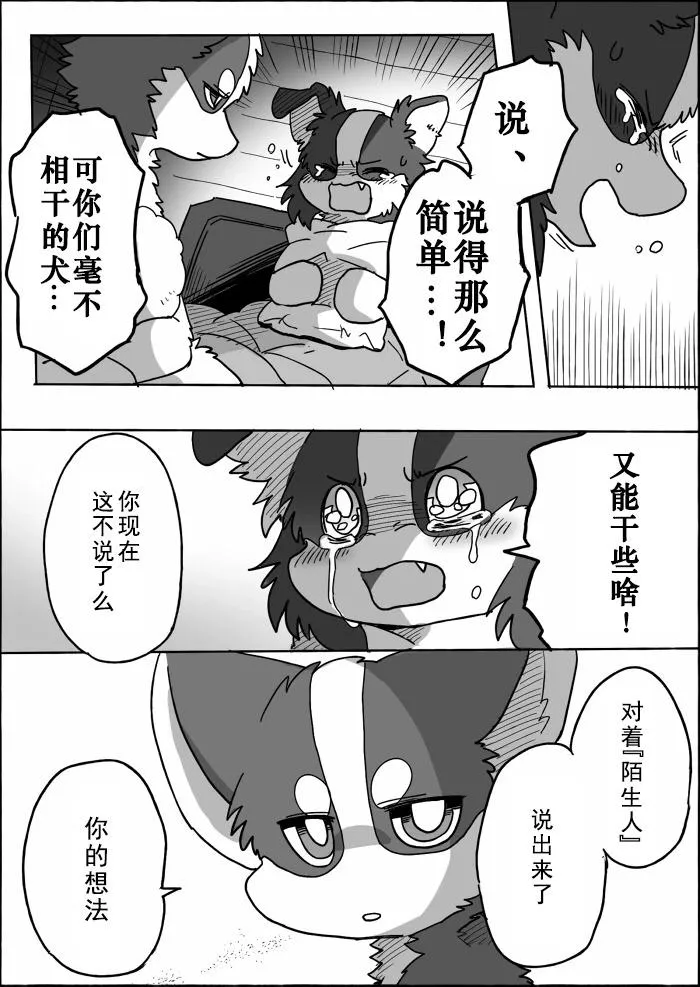 第43页