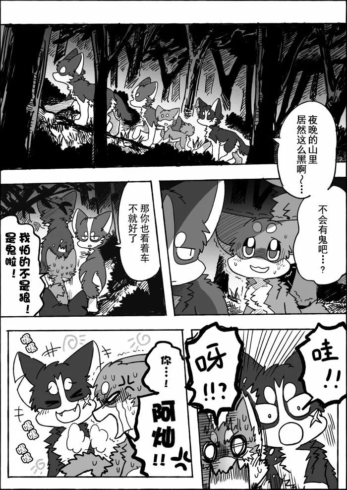 第3页