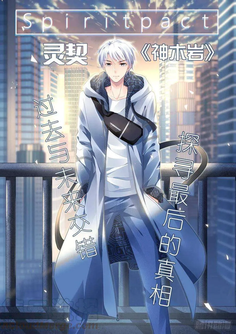 第17页