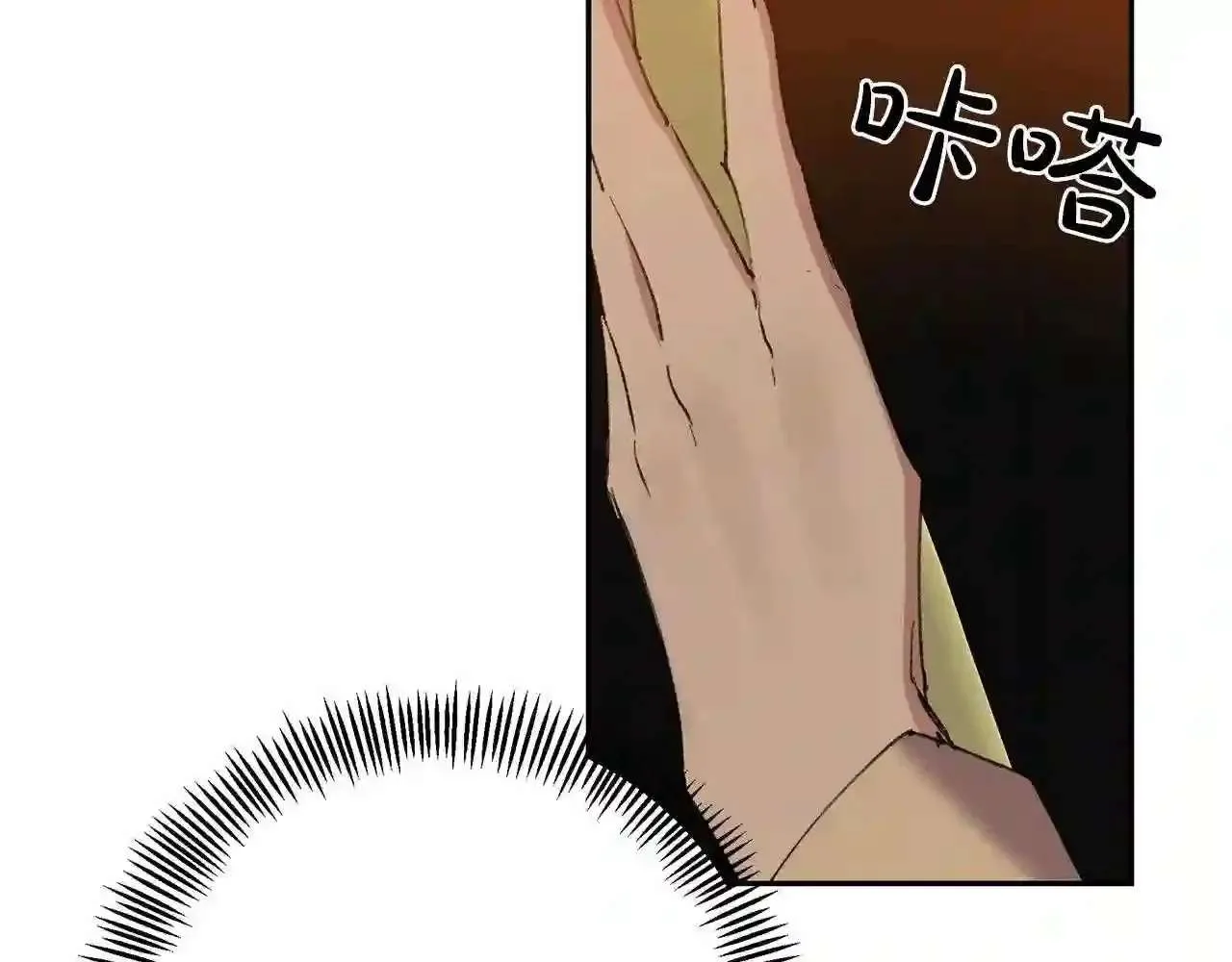 第224页