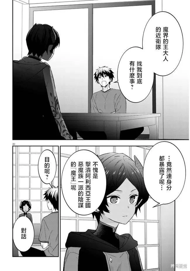第20页