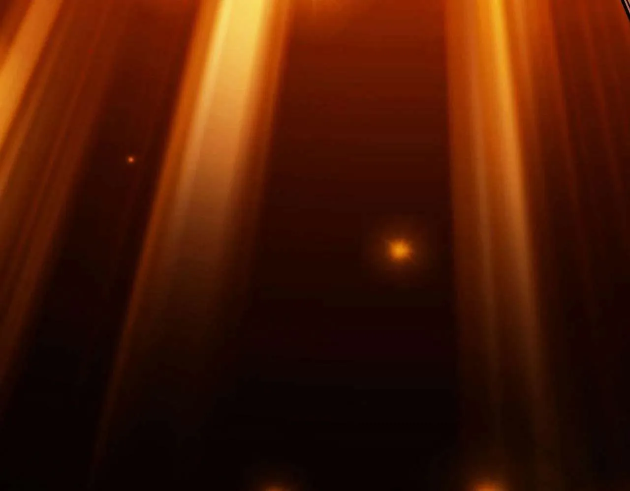 第231页