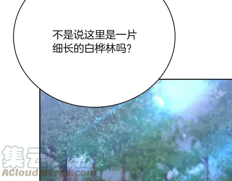 第221页