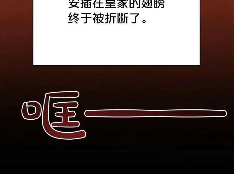 第246页