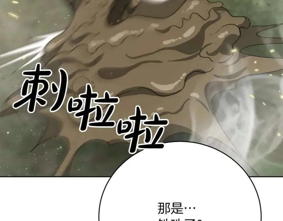 第242页