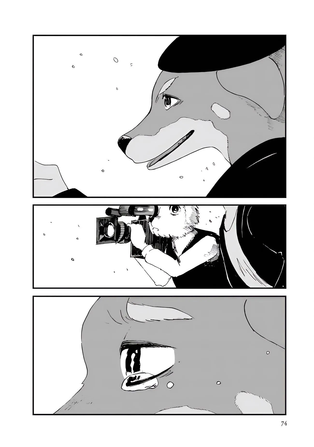 第38页