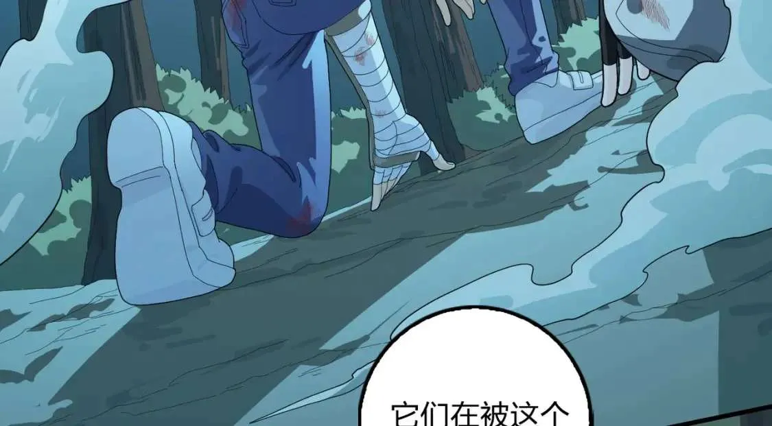 第295页