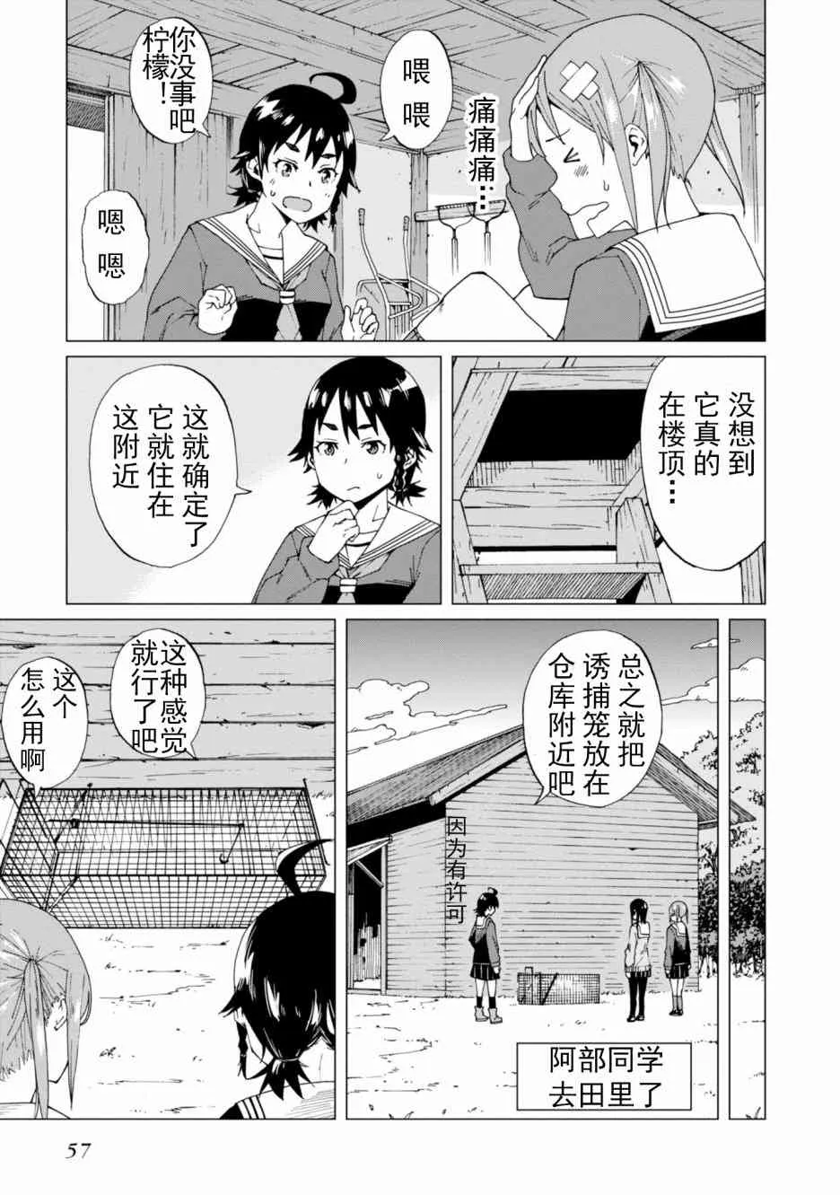 第17页
