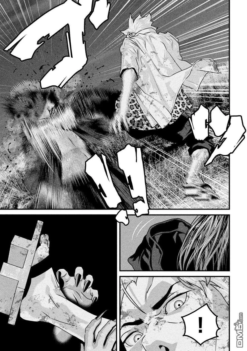 第43页
