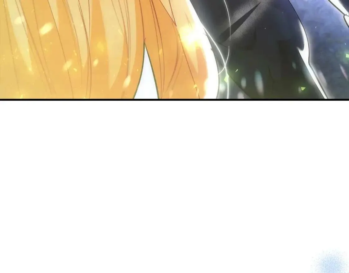 第229页