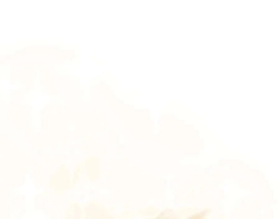 第239页