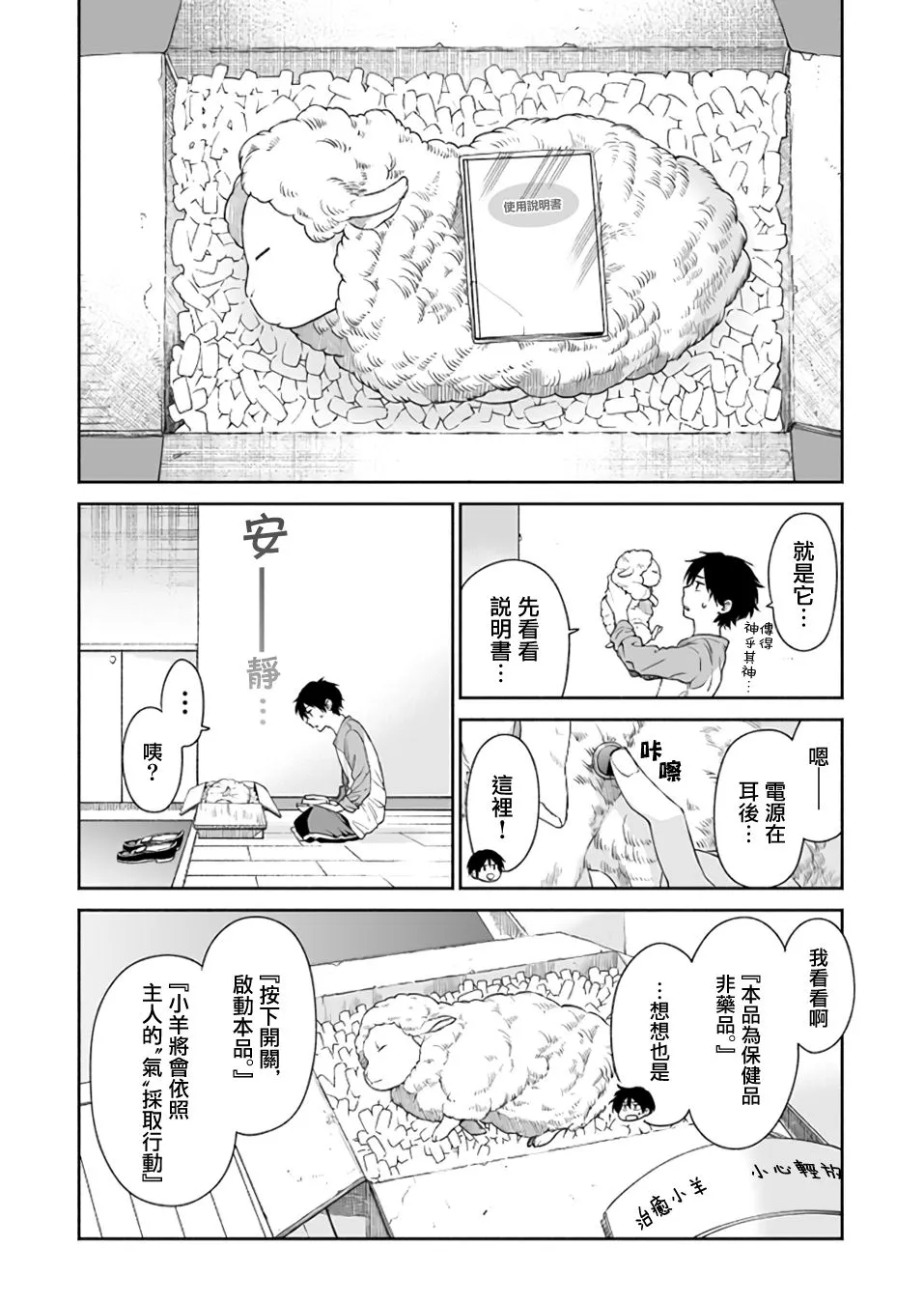 第3页