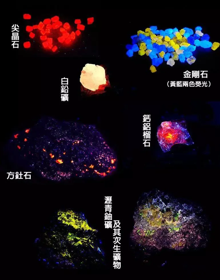 第41页