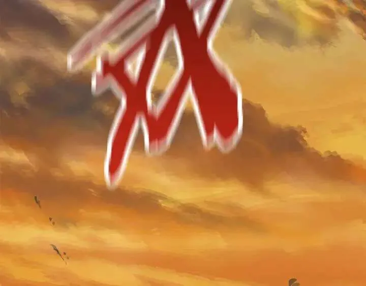第224页